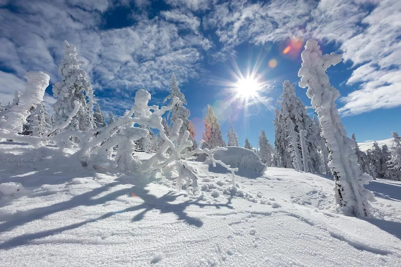 Luksusowy Domek 4Seasons Karpacz Z Prywatna Sauna I Kominkiem